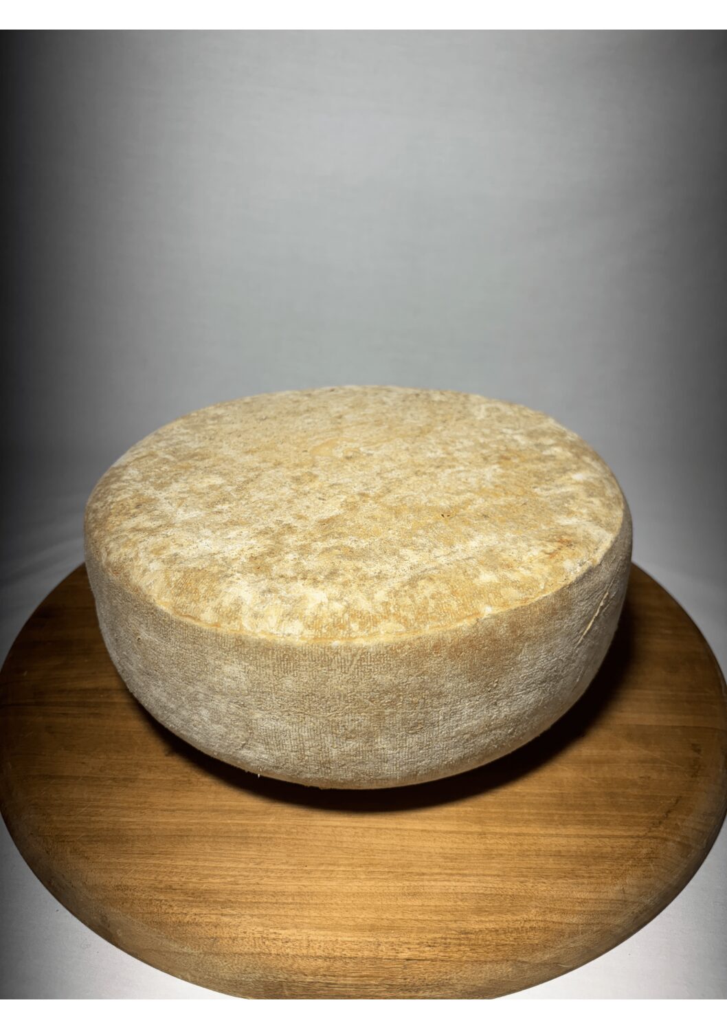 Tomme entière de fromage de brebis – AOP Ossau-Iraty - Affinée 6 mois (jeune)